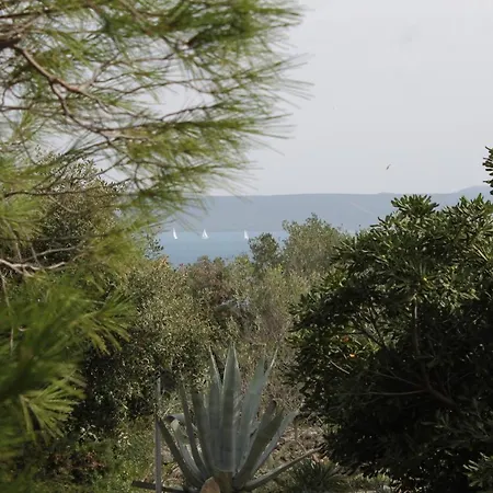 With Parking Space Zdrelac, Pasman - 8514