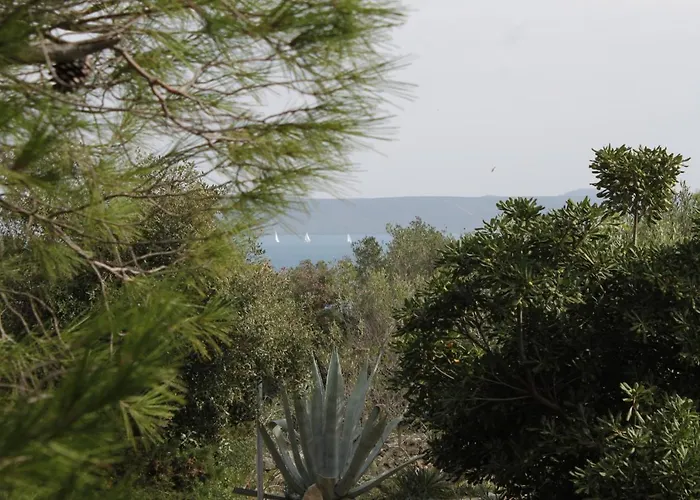 With Parking Space Zdrelac, Pasman - 8514